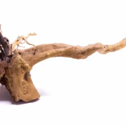 XXL Moorkienwurzel Nr.9155 Holz Deko Aquascaping -Haus Dekoration Verkaufsgeschäft XXXL Moorkienwurzel Nr 9155 9155 3 22262