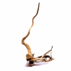 XXL Moorkienwurzel Nr.9155 Holz Deko Aquascaping -Haus Dekoration Verkaufsgeschäft XXXL Moorkienwurzel Nr 9155 9155 4 22262