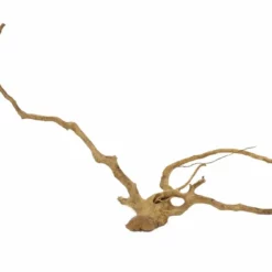 XXL Moorkienwurzel Nr.9466 Holz Deko Aquascaping -Haus Dekoration Verkaufsgeschäft XXXL Moorkienwurzel Nr 9465 Holz Deko Aquascaping 9466 4 22694