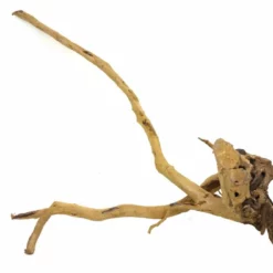 XXL Moorkienwurzel Nr.9467 Holz Deko Aquascaping -Haus Dekoration Verkaufsgeschäft XXXL Moorkienwurzel Nr 9466 Holz Deko Aquascaping 9467 2 22695