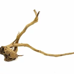 XXL Moorkienwurzel Nr.9467 Holz Deko Aquascaping -Haus Dekoration Verkaufsgeschäft XXXL Moorkienwurzel Nr 9466 Holz Deko Aquascaping 9467 3 22695