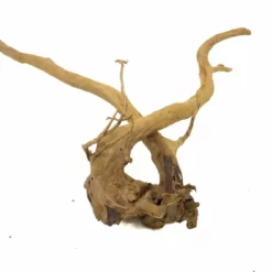 XXL Moorkienwurzel Nr.9467 Holz Deko Aquascaping -Haus Dekoration Verkaufsgeschäft XXXL Moorkienwurzel Nr 9466 Holz Deko Aquascaping 9467 4 22695