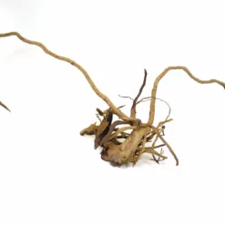 XXL Moorkienwurzel Nr.9472 Holz Deko Aquascaping -Haus Dekoration Verkaufsgeschäft XXXL Moorkienwurzel Nr 9471 Holz Deko Aquascaping 9472 2 22700