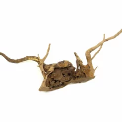 XXL Moorkienwurzel Nr.9482 Holz Deko Aquascaping -Haus Dekoration Verkaufsgeschäft XXXL Moorkienwurzel Nr 9481 Holz Deko Aquascaping 9482 2 22710