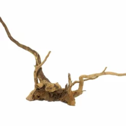 XXL Moorkienwurzel Nr.9482 Holz Deko Aquascaping -Haus Dekoration Verkaufsgeschäft XXXL Moorkienwurzel Nr 9481 Holz Deko Aquascaping 9482 3 22710