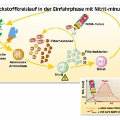 Sera Nitrit Minus 5000 Ml Süßwasser Wasserwerte 5 Sera Nitrit Minus 5000 Ml Süßwasser Wasserwerte -Haus Dekoration Verkaufsgeschäft sera Nitrit minus 2500 ml Suesswasser Wasserwerte sera Nitrit minus 2500 ml Suesswasser Wasserwerte 1 19972