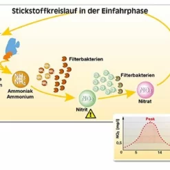 Sera Nitrit Minus 500 Ml Süßwasser Wasserwerte -Haus Dekoration Verkaufsgeschäft sera Nitrit minus 500 ml Suesswasser Wasserwerte N